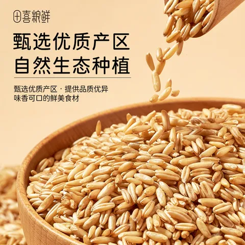 田喜粮鲜有机燕麦米 富含膳食纤维 燕麦米营养早餐代餐五谷杂粮粗粮410g 图片 6