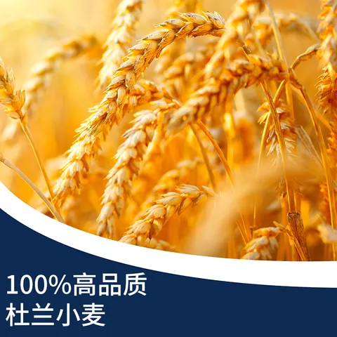百味来意大利进口意大利面500g健康低脂高蛋白杜兰小麦直条形意面 图片 5