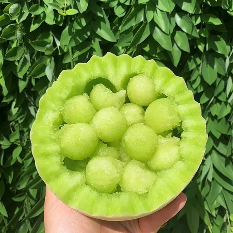京觅山东玉菇冰淇淋甜瓜 净重4.5-5斤单果750g起新鲜水果源头直发包邮 图片 5