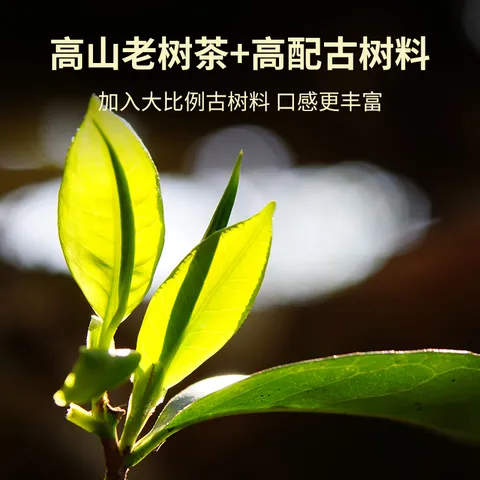 澜沧古茶0081经典普洱熟茶饼茶357g 2025年非遗传承礼盒装送礼 云南 图片 3