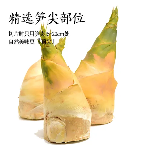 燕之坊脆嫩笋尖500g 免泡发嫩笋尖笋丝竹笋干煲汤干货炒菜凉拌火锅食材 图片 6