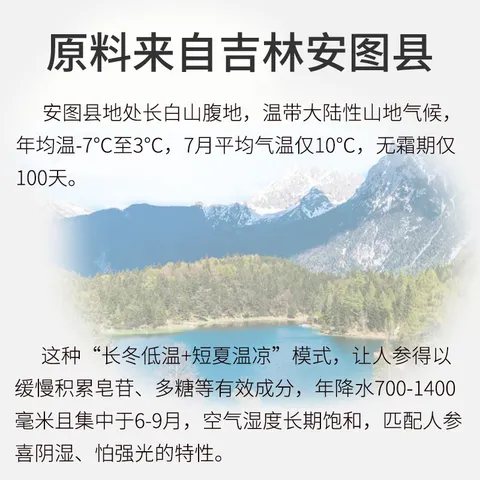 大地之作甄选西洋参100克大片12-14mm长白山花旗参套装【源头直发包邮】 图片 8