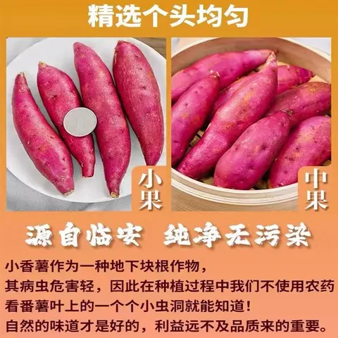 京鲜生天目小香薯净重3斤 单果约50g-150g 产地临安 香甜软糯  源头直发 图片 3