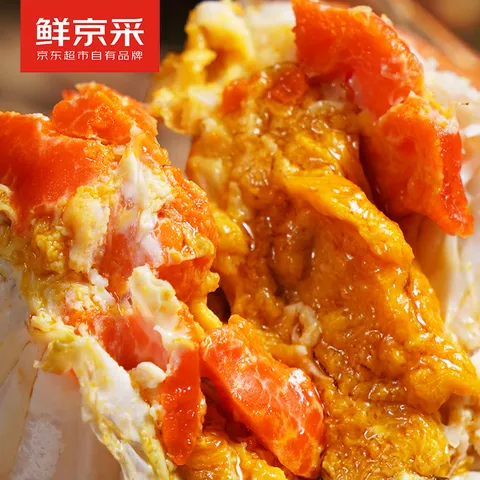 【礼券】鲜京采大闸蟹礼券488型中秋礼品卡券 公蟹3.5两母蟹2.5两4对8只生鲜螃蟹礼盒 图片 5