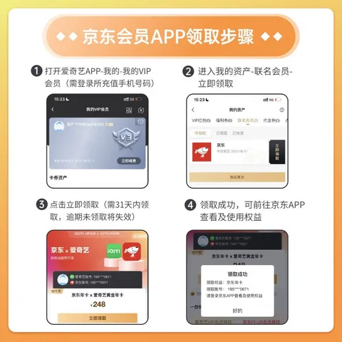 爱奇艺黄金VIP会员年卡加京东PLUS会员年卡 支持五端 填写手机号充值 图片 6