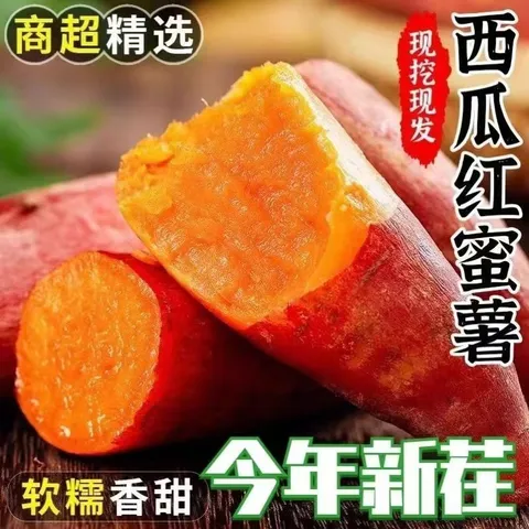 现挖沙地西瓜红蜜薯红薯新鲜农家糖心番薯烤地瓜山芋软糯批发包邮 西瓜红蜜薯9斤装 中大果含箱 图片 4