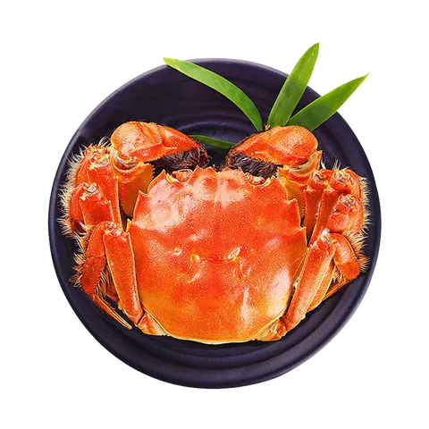 【活蟹】蟹叁钳庄 全母大闸蟹 去绳足重2.3-2.6两 6只鲜活现货螃蟹中秋礼盒 图片 8