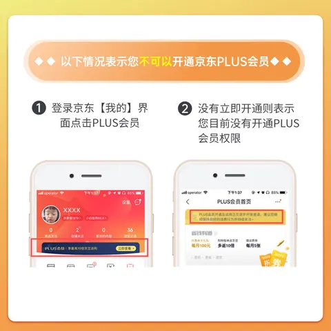 爱奇艺黄金VIP会员年卡加京东PLUS会员年卡 支持五端 填写手机号充值 图片 4