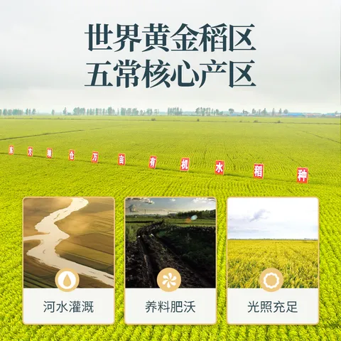 稻可道【新国标 特等五常大米】有机五常大米300g装 原粮稻花香2号 图片 6