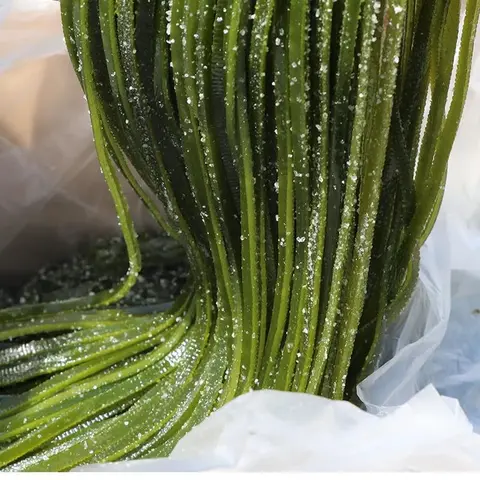 海带丝盐渍新鲜食材厚海白菜高泡发昆布丝结片 火锅食材 凉拌蔬菜 海带丝500g 图片 3