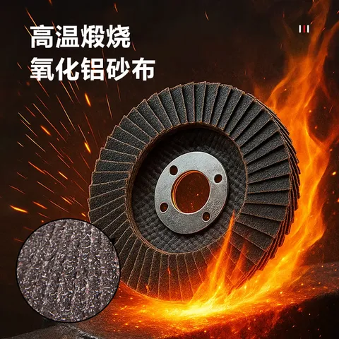 得力（deli）角磨机百叶片百叶轮打磨片瓷砖打磨片磨光片金刚石磨片 80目10片 图片 9