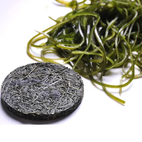 金葵0脂压缩海带丝真空干海带丝泡发海带丝烘干海带丝凉菜 96g （压缩海带丝16g*6块） 图片 4