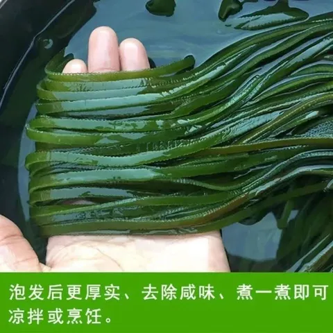 海带丝盐渍新鲜食材厚海白菜高泡发昆布丝结片 火锅食材 凉拌蔬菜 海带丝500g 图片 5
