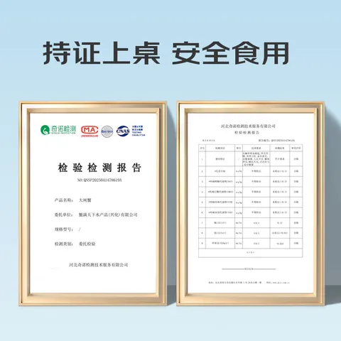 【活蟹】蟹叁钳庄 全母大闸蟹 去绳足重2.3-2.6两 6只鲜活现货螃蟹中秋礼盒 图片 5