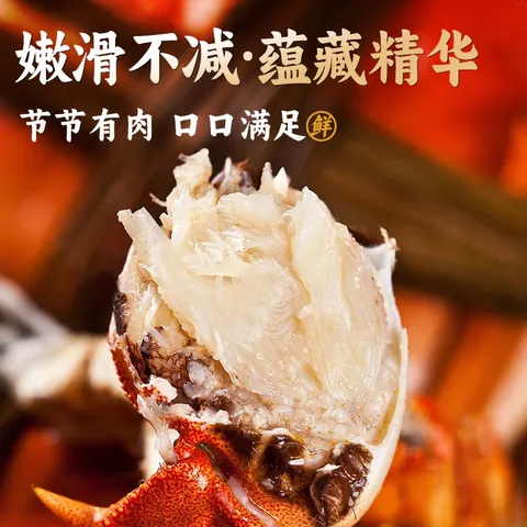【活蟹】阳澄逍遥大闸蟹全母蟹2.3-2.6两8只鲜活螃蟹现货水产礼盒海鲜中秋送礼 图片 4