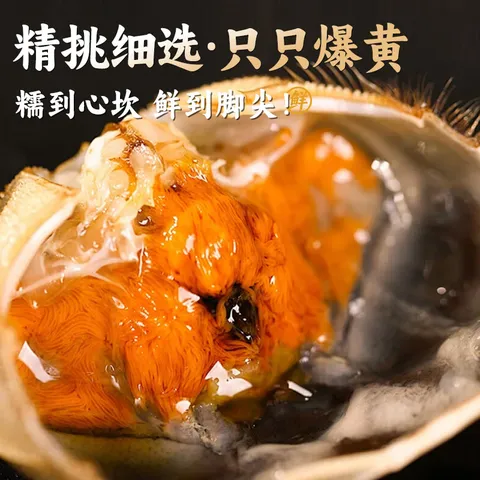 【活蟹】阳澄逍遥大闸蟹全母蟹2.3-2.6两8只鲜活螃蟹现货水产礼盒海鲜中秋送礼 图片 9