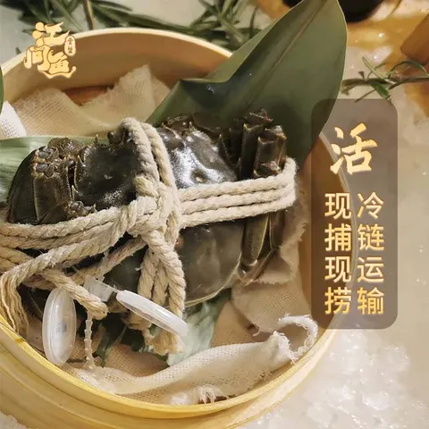 【活蟹】江问鱼 大闸蟹全母2.5两-2.8两 8只装 鲜活螃蟹生鲜中秋礼盒过节送礼 图片 5