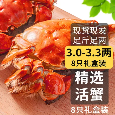 乾澄 大闸蟹 六月黄 3.0-3.3两 8只 鲜活 海鲜
