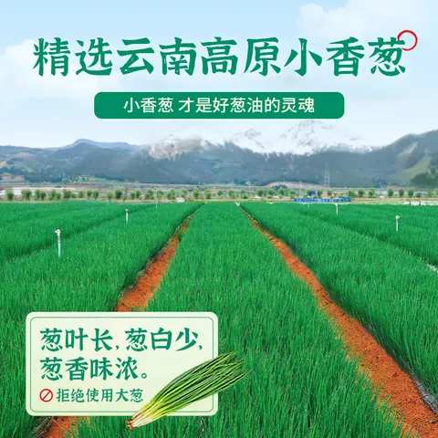 仲景 上海葱油拌面酱 葱油拌面拌粉酱荞麦面小香葱油汁炸酱面条酱 上海葱油230gx2瓶 图片 3