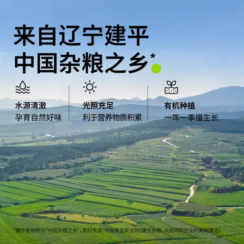 田喜粮鲜有机燕麦米 富含膳食纤维 燕麦米营养早餐代餐五谷杂粮粗粮410g 图片 5