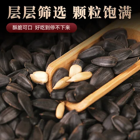 大千喜草原黑珍珠瓜子葵花籽五香味独立小包装休闲零食新货炒货 【买10送10】五香口味共20小袋 图片 4