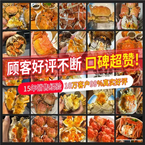【活蟹】湖鲜阳澄 大闸蟹 去绳足重 全母蟹2.3-2.6两 8只 鲜活超大螃蟹中秋国庆礼盒装 图片 2