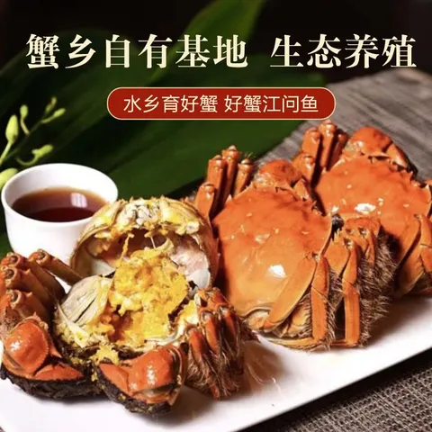 【活蟹】江问鱼 大闸蟹全母2.5两-2.8两 8只装 鲜活螃蟹生鲜中秋礼盒过节送礼 图片 6