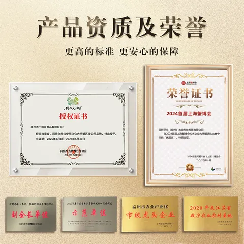 【活蟹】鱻谣大闸蟹全母2.5-2.8两4对8只去绳足重鲜活螃蟹现货生鲜蟹礼盒兴化 中秋送礼 图片 2