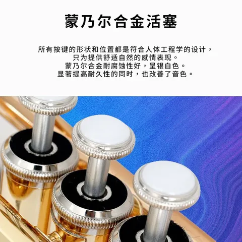 雅马哈（YAMAHA）YTRS1黄铜降B调小号成年儿童初学入门考级专业演奏Bb调 图片 4