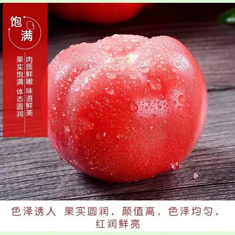 【东东买菜】攀枝花露天沙瓤西红柿新鲜水果蔬菜番茄酸甜 带箱2斤重单果80g起 2斤 图片 5
