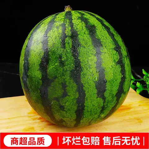 特小凤西瓜冰淇淋黄壤西瓜新鲜时令水果当季现摘黄心手撕西瓜包邮 【精品果1.5-2斤】1个瓜 ｜皮薄脆甜一口爆汁 图片 2