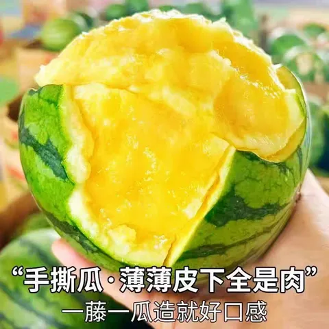 特小凤西瓜冰淇淋黄壤西瓜新鲜时令水果当季现摘黄心手撕西瓜包邮 【精品果1.5-2斤】1个瓜 ｜皮薄脆甜一口爆汁 图片 7