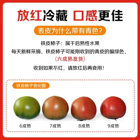 京鲜生 山东草莓番茄净重4.5斤单果50g+多产地发铁皮西红柿水果源头直发 图片 3