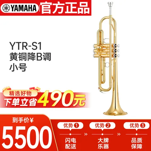 雅马哈（YAMAHA）YTRS1黄铜降B调小号成年儿童初学入门考级专业演奏Bb调 图片 9