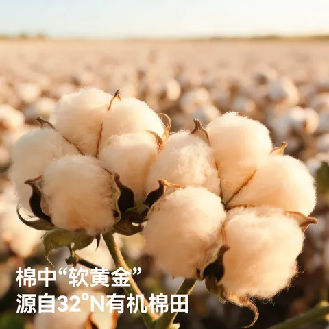 贝肽斯婴儿隔尿垫可水洗儿童纯棉老年人大尺寸防水成人尿垫幼儿园床垫 植物派对（天然彩棉-7A级抗菌除螨） 180x200cm（热卖款） 图片 3