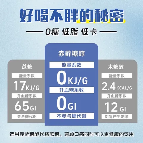 京仙诚酸梅汤无糖酸梅粉酸梅晶原料包酸梅汤粉固体零糖冲饮饮料10g*30条 图片 5