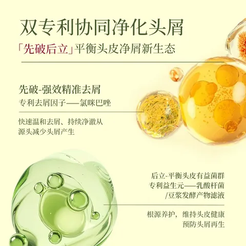 澳雪（accen）碌柚叶柚子叶洗发水 控油去屑清爽持久留香泡沫不干燥1kg 图片 7