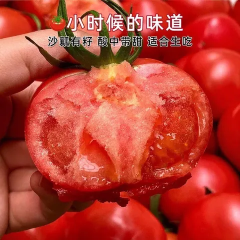 【新鲜夏柿】现摘山东普罗旺斯沙瓤口感西红柿生吃水果番茄包邮 5斤普罗旺斯西红柿 4.5斤 净重 中大果（单果125g+） 口感西红柿【自然成熟】 图片 3