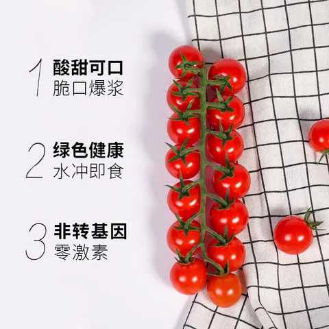 京鲜生&柿一家 串收樱桃番茄玲珑串净重1.5kg 小西红柿中秋礼盒源头直发 图片 2
