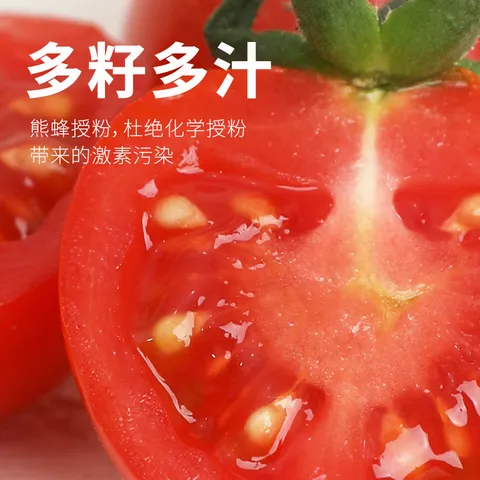 京鲜生&柿一家 串收樱桃番茄玲珑串净重1.5kg 小西红柿中秋礼盒源头直发 图片 3