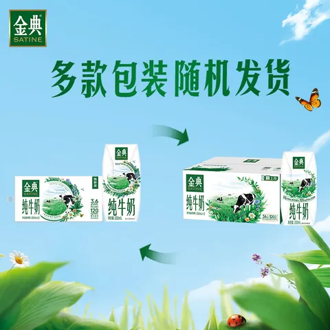 伊利金典200ml纯牛奶系列 多种规格可选 3.6g优质乳蛋白 端午礼盒 纯牛奶200ml*12盒*2箱  4月产 图片 3
