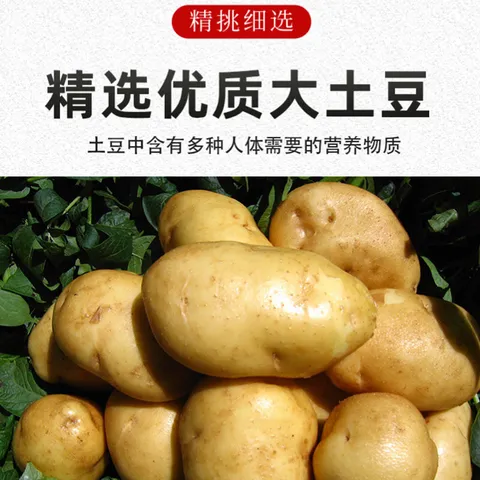 重庆火锅川粉土豆粉麻辣烫涮锅粉丝健康速食净重100g/袋 重庆土豆粉100克*1包 图片 3