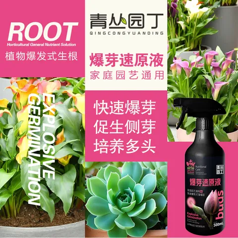 青丛园丁爆芽速原液多芽促芽催芽分化叶插花植物通用型营养液绿植肥料 爆芽速原液500ml*1瓶【常规装】 图片 5
