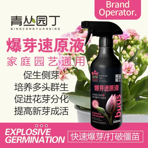 青丛园丁爆芽速原液多芽促芽催芽分化叶插花植物通用型营养液绿植肥料 爆芽速原液500ml*1瓶【常规装】 图片 1