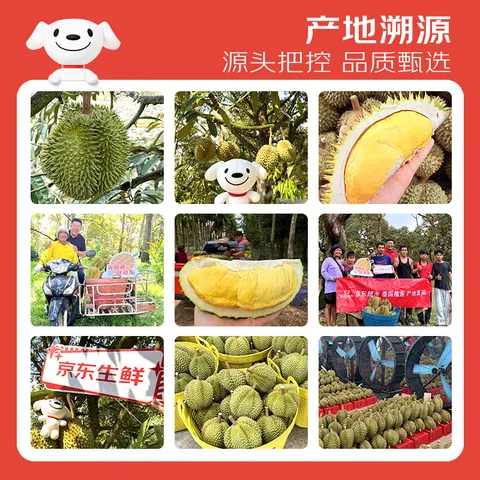 京鲜生泰国进口金枕头鲜榴莲 3.5-4.5斤 1个装  鲜果 生鲜水果 图片 2