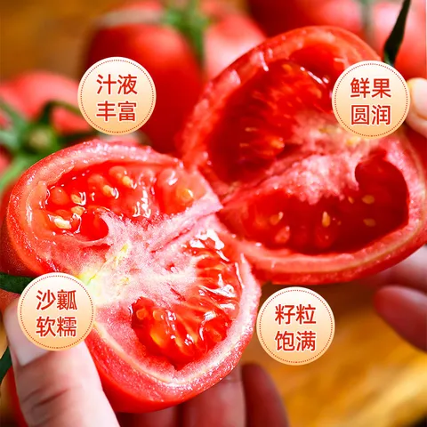 沙瓤西红柿 囤货装 5斤 带箱 图片 2
