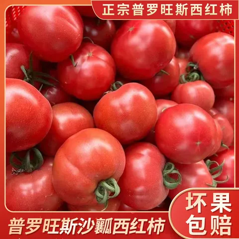 【新鲜夏柿】现摘山东普罗旺斯沙瓤口感西红柿生吃水果番茄包邮 5斤普罗旺斯西红柿 4.5斤 净重 中大果（单果125g+） 口感西红柿【自然成熟】 图片 2