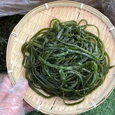 盐渍海带丝短丝当季绿色商用批发整箱非干货凉拌麻辣烫偏厚免切 当季盐渍海带丝250g×1包 图片 4