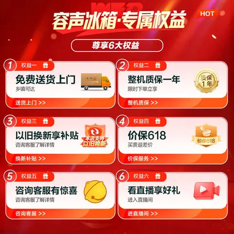 容声185L两门冰箱小户型节能省电超薄冷藏冷冻两用保鲜宿舍出租房迷你小冰箱BCD-185E10BNLAD 图片 8