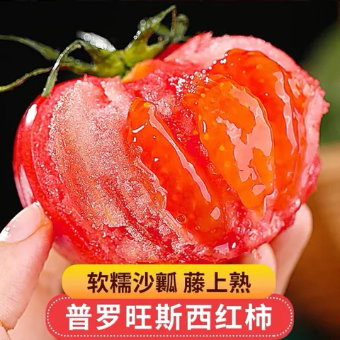 【新鲜夏柿】现摘山东普罗旺斯沙瓤口感西红柿生吃水果番茄包邮 5斤普罗旺斯西红柿 4.5斤 净重 中大果（单果125g+） 口感西红柿【自然成熟】 图片 4